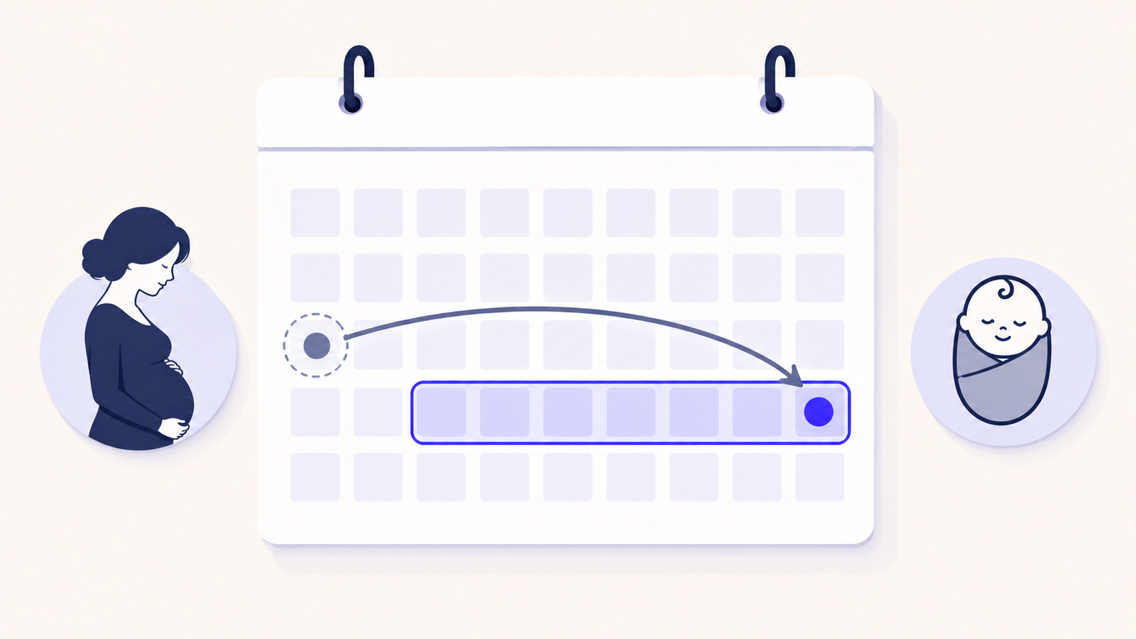 Flat vector calendar with a highlighted week marking a pregnancy milestone